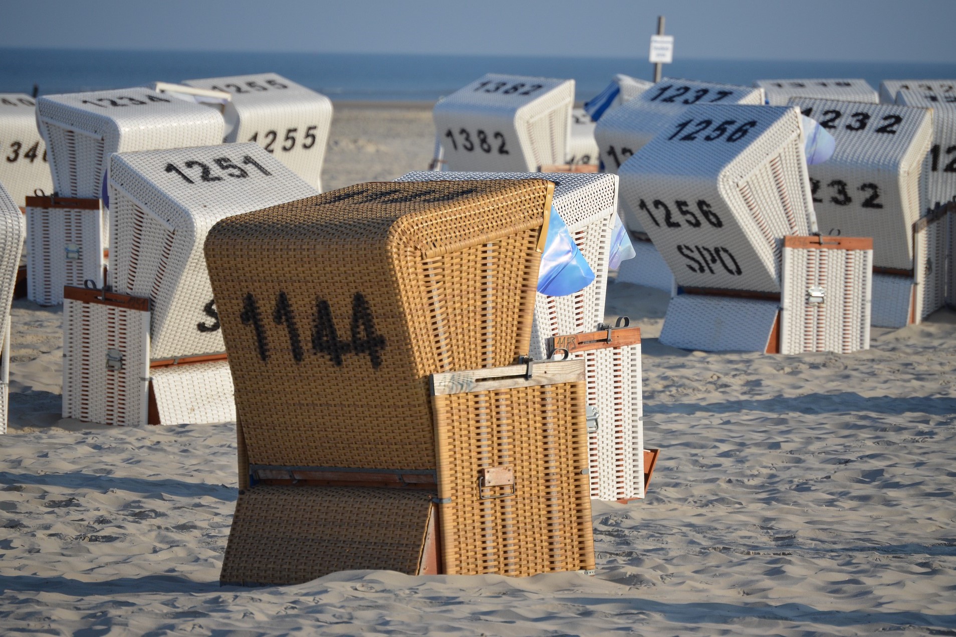 Mehrere Strandkörbe stehen an einem Strand.