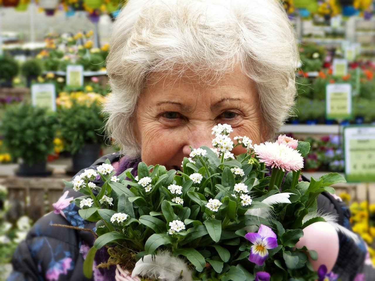 Ältere Dame mit grauen Haaren lächelnd hinter Blumen