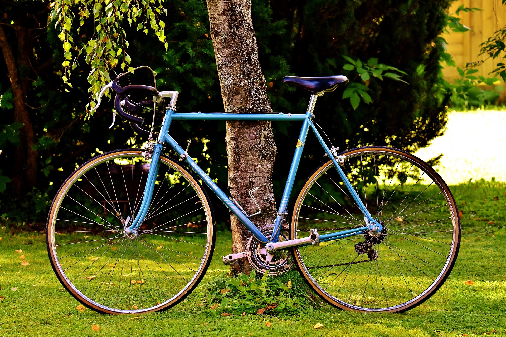 Fahrrad an Baum angelehnt