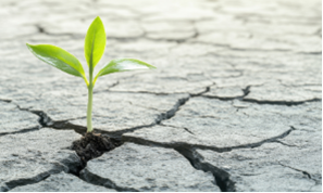 Online - Fortbildung Resilienz als Kraftquelle für Alltagsbegleiter: innen