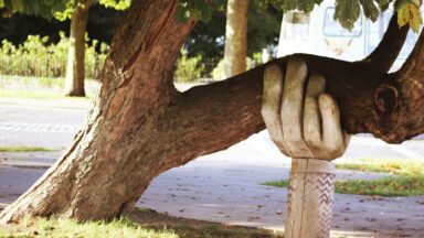 Eine Hand als Statue stütze einen Baum.