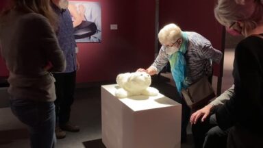 Eine Frau streichelt die Therapierobbe 