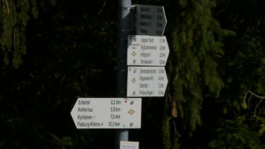 Ein Wegweiser im Wald