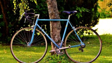 Fahrrad an Baum angelehnt