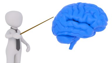 Eine animierte Figur